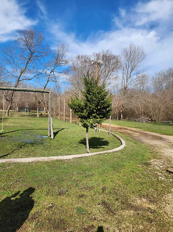 AN EXCEPTIONAL OPPORTUNITY FOR INVESTMENT AND ENJOYMENT ON ADA BOJANA — photo 2